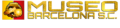 Museo de Barcelona